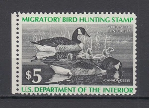 United States – Sc.# RW43 $5 Duck, Hunting Permit 1976 – MLH - Picture 1 of 2