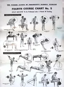 Vintage 1950s Weider System Barbell Exercise Chart No. 5 Split Routine - Picture 1 of 3