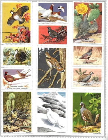 61 DOUBLE SIDED PAGES NATIONAL WILDLIFE FEDERATION STAMPS MOUNTED IN ALBUM BIRDS Cover