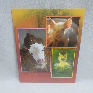 Vintage Class Act Folder For 3 Ring Binder Farm Animals Pigs Cows Ducks Retro - Picture 1 of 5