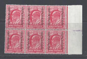 BECHUANALAND EVII 1905 1d BLOQUE ESCARLATA DE 6 COMO NUEVO NUNCA BISAGRAS SG 68 - Imagen 1 de 2
