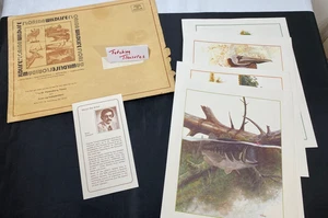 Lotto stampe litografiche Scott Hiestand C.70s Florida Wildlife St. Pete/Tempi Indipendenti - Foto 1 di 17