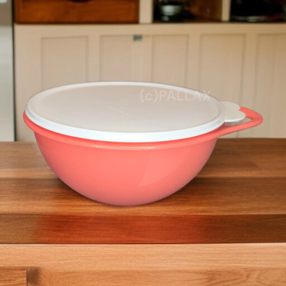 TUPPERWARE B03 MINI-MAX CIOTOLA DA FORNO 2,75 L CIOTOLA ROSSA - Immagine 1 di 2
