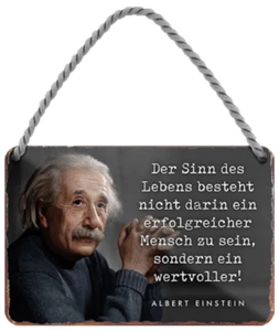 ''Il senso della vita non consiste in questo... (Einstein)'' targa in lamiera 18 x 12 cm - Foto 1 di 4