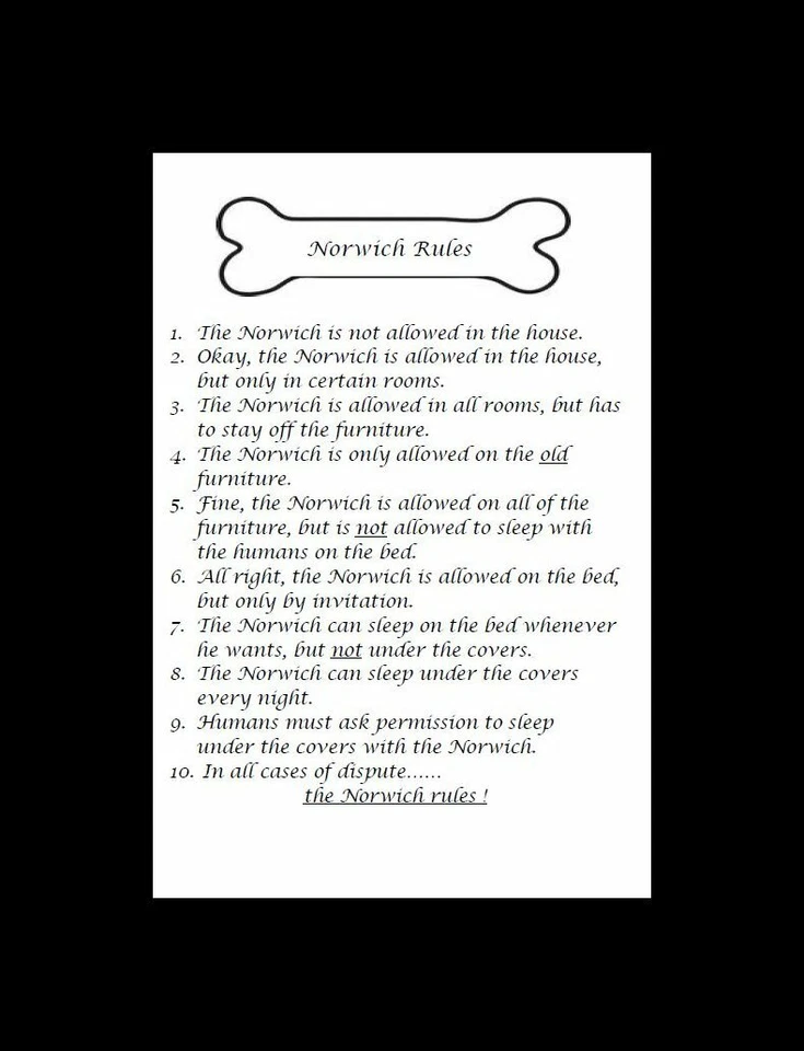 Norwich Terrier "Reglas" - PERSONALIZADO MATE - Impresión artística para perros: REGALO Foto 1 de 1