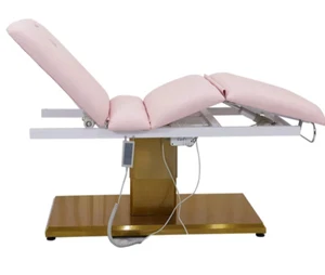 Leather and Gold Luxury Electric Beauty Massage Salon Bed - Picture 1 of 7