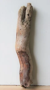 Treibholz Schwemmholz  Driftwood 1 Stamm Terrarium Dekoration Garten Diy - Bild 1 von 12