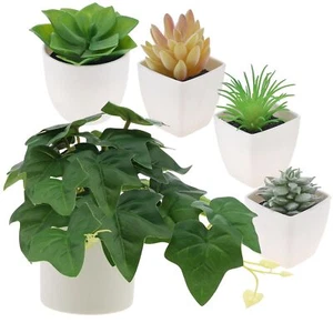 5 PCS Artificial Ivy Potted Plant Fake Succulents Agave Echeveria Office Table - Picture 1 of 6