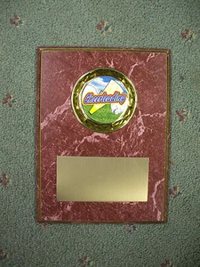 Cheerleading trophy plaque 6 x 8 ruby with gold trim personalized - Bild 1 von 1