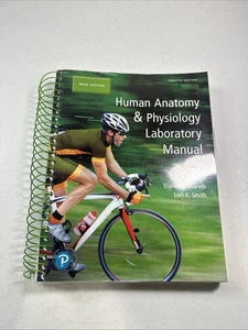 Human Anatomy & - Spiral-bound, by Marieb Elaine; Smith - Acceptable w - Bild 1 von 7
