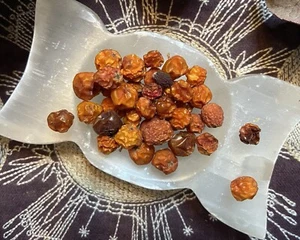 Vogelbeeren, Schutz, Heilung, Kraft, Erfolg, Schutz vor Zaubern - Bild 1 von 2