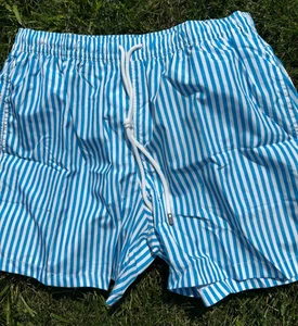 Neu mit Etikett. Fedeli Madeira blau gestreift gemustert Herren gefüttert Badeshorts Gr. XL - Bild 1 von 5