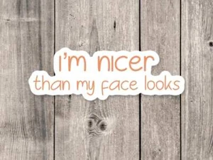 Sarcastic Quote Sticker - Funny Antisocial Water Bottle  Laptop Sticker - Bild 1 von 5
