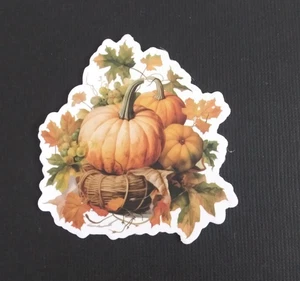 Kürbisse im Nest bunte Blätter Herbst Erntedank Aufkleber 2,38" x 2,25" (AE) - Bild 1 von 2