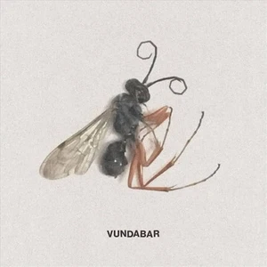 VUNDABAR GOOD OLD NEW LP - Picture 1 of 1