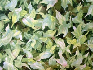 4 yardas 'flooming spring' tonos de verde estampado de hojas 100% algodón wilmington - Imagen 1 de 6