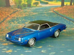 1. Gen 1973-1975 Pontiac Grand Am 455ci V8 Ram Air Sport Coupe Maßstab 1:64 LE G - Bild 1 von 5
