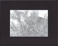 8X10" Matted Print Art Picture Drawing fits Bev Doolittle: Bird in Bush Tree