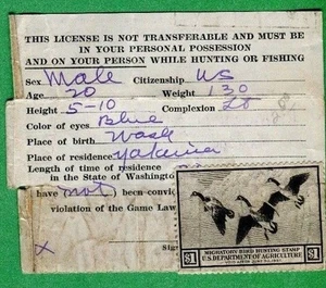 Estampilla de pato estatal RW3 con licencia de caza y pesca de WASHINGTON 1936 SIN FIRMAR - 731 - Imagen 1 de 2