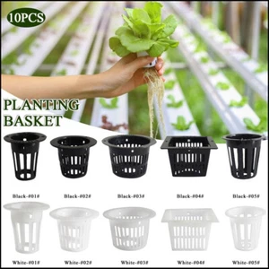 Maceta de malla hidropónica de alta resistencia 10 piezas red taza cesta cultivo de plantas hidropónicas - Imagen 1 de 27
