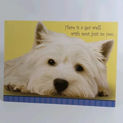 Cute Get Well Soon Card West Highland White Terrier Dog Face Greeting USA Scotty - Image 1 of 4