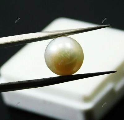 3 Ct Natural Pearl Gemstone SOUTH SEA Genuine White CERTIFIED - Image 1 of 4