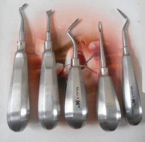 Juego de 5 instrumentos dentales elevador de raíces dentales - Imagen 1 de 3
