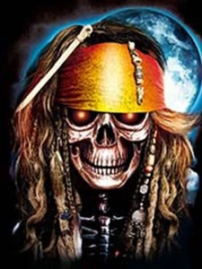 ARTE ESPIRAL - IMPRESIÓN DE IMAGEN 3D CALAVERA PIRATAS 300mm x 400mm - Imagen 1 de 2