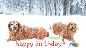 Dachrinnenaufhänger - Bild 1 von 1