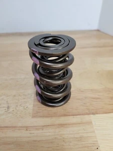 K-Motion Kmotion K-1800 Triple Valve Spring Single One - Picture 1 of 4