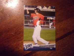 2013 NORFOLK TIDES Choice Minor League Single Cards YOU PICK OBO