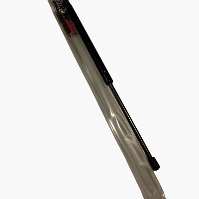 Soporte elevador brazo fuerte C 6120 Ford Edge puerta levadiza Foto 1 de 4