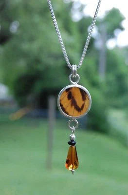 Real Butterfly Wing Under Glass Pendant Necklace Genuine Amber Sterling Silver - Image 1 of 4
