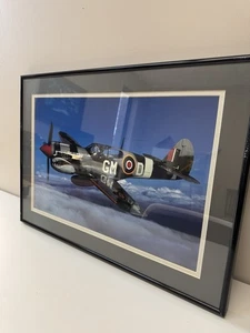 Curtiss P-40M Warhawk Picture POG - Picture 1 of 5