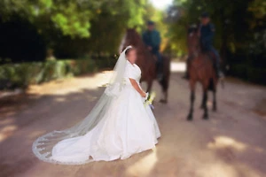 Vestido de novia con fina pedrería de cristal - Imagen 1 de 6