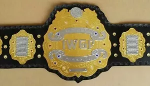 IWGP Heavyweight Championship 4MM Leather Title Belt Gold Plated Adult Size. - Picture 1 of 4