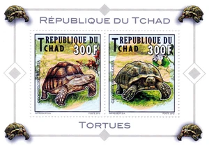 Chad 2012 Imperf. Turtles Full N° 2561-2562 Bl 447-448 - Picture 1 of 4