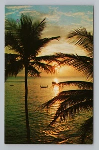 AK Florida Sonnenuntergang Foto von Robert Freund - Bild 1 von 2