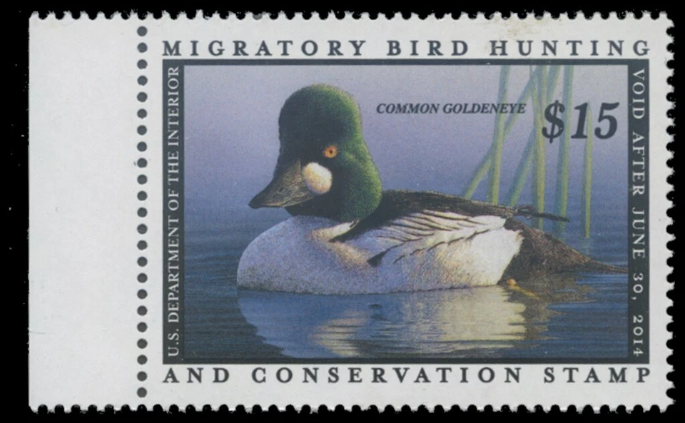 RW80 2013 Federal Duck Stamp Mint Never Hinged. Original Gum  - Image 1 of 1