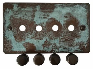 Placa plana G&H FV14-PK-BB Verdigris 4 pandillas placa atenuadora solo inc perillas atenuadoras - Imagen 1 de 1
