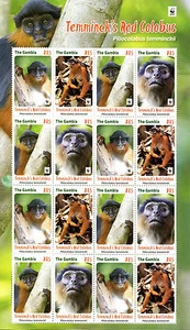 Gambia 2016 MNH Temminck's Red Colobus WWF 16v M/S Monkeys Wild Animals Stamps - Picture 1 of 1