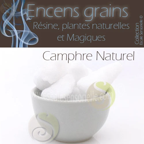 50g à 2kg au choix Camphre naturel Encens grains purificateur assainissant
