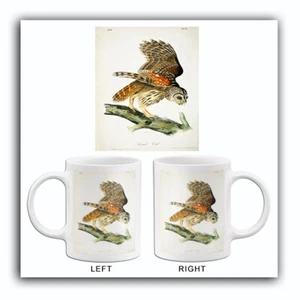 Plat - 1827 - Illustrationstasse - Bild 1 von 3