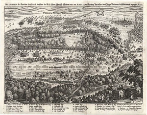 Schwanau Wittenweiler Originale Incisione Merian 1639 - Bild 1 von 1