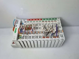 WAGO Device Net 750-306 SET FREE EXPEDITED SHIPPING - Picture 1 of 7