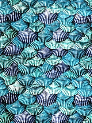 Бирюзовая и фиолетовая хлопчатобумажная ткань Seashells от Shamash and Sons 1,10 ярда x 42 - Изображение 1 из 4