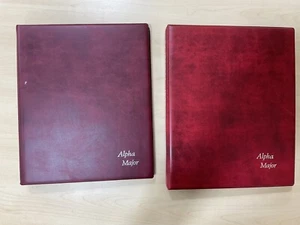 Sweden stamps, mint/used. Well written up . 2 x albums #z694 - Imagen 1 de 23