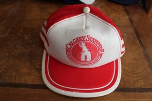 Vintage  Calgary Stampede  Trucker Cap  Snapback mesh Hat - Picture 1 of 4