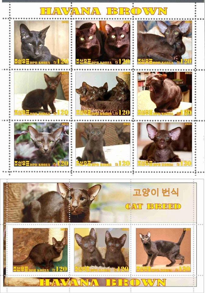 Hoja de sellos + bloque Habana Marrón 2021 edición Corea Foto 1 de 1