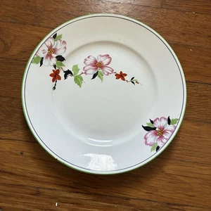 Vtg Rare Homer Laughlin Unidentified Floral Pattern Plate 1930 Wells sample? HTF - Picture 1 of 10